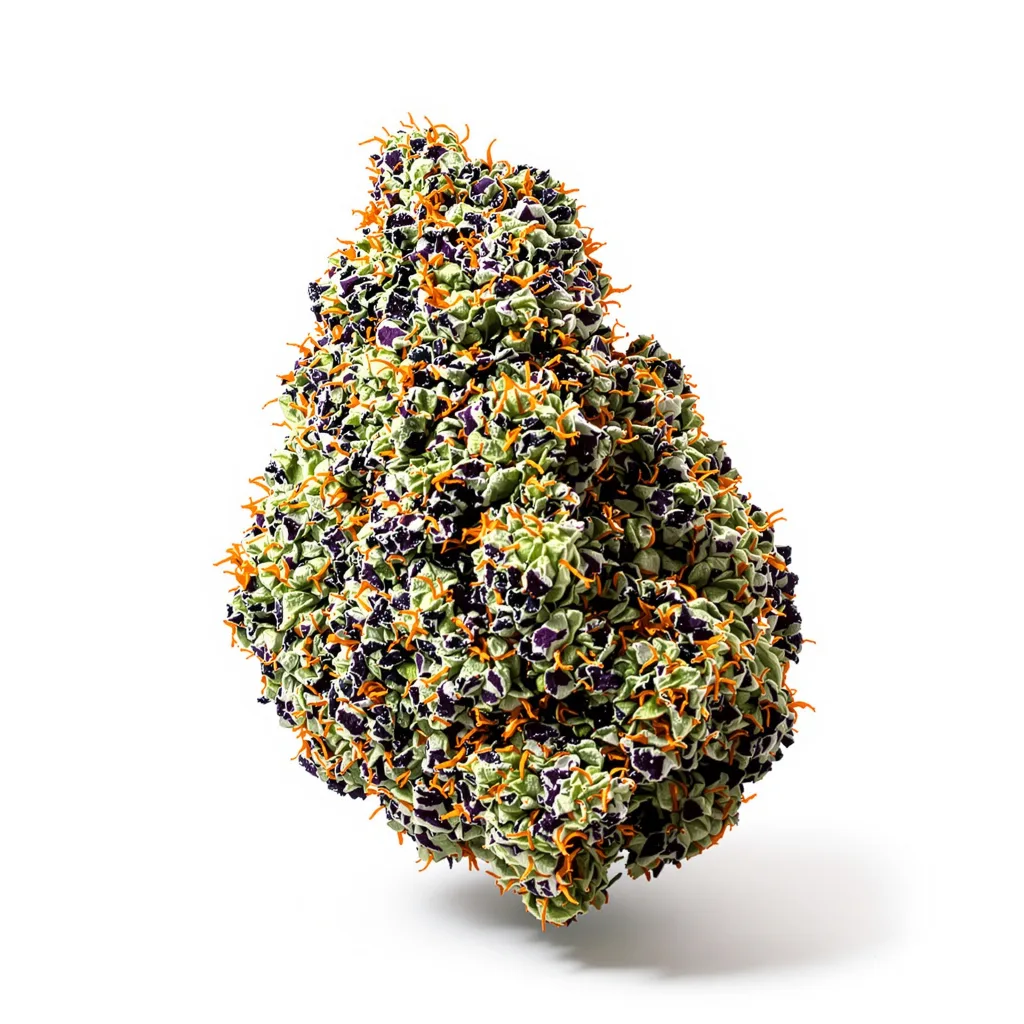 New Glue 80% indica / 20% sativa — flor con tricomas visibles