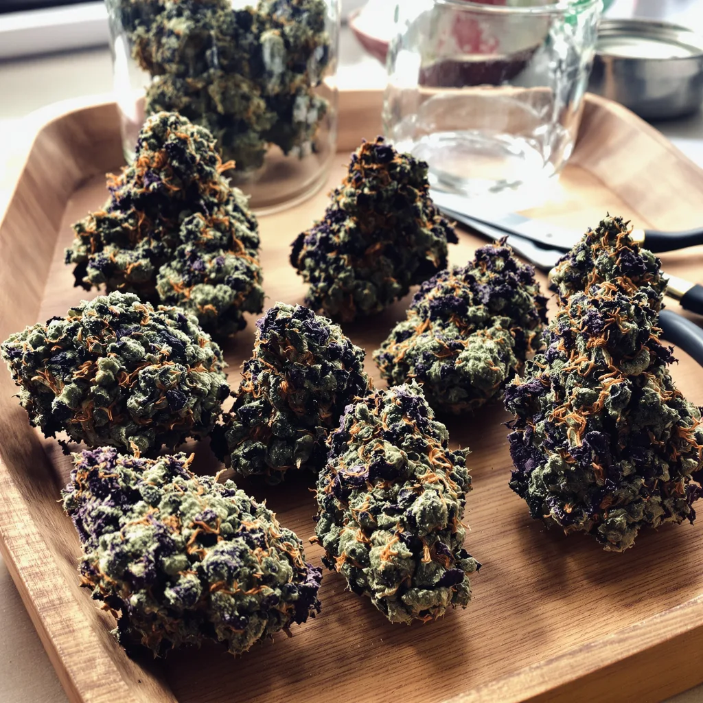 Northern Lights 81% indica / 19% sativa — flor con tricomas visibles