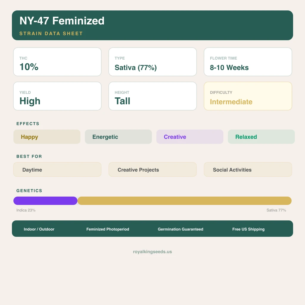 NY-47 23% indica / 77% sativa — flor con tricomas visibles
