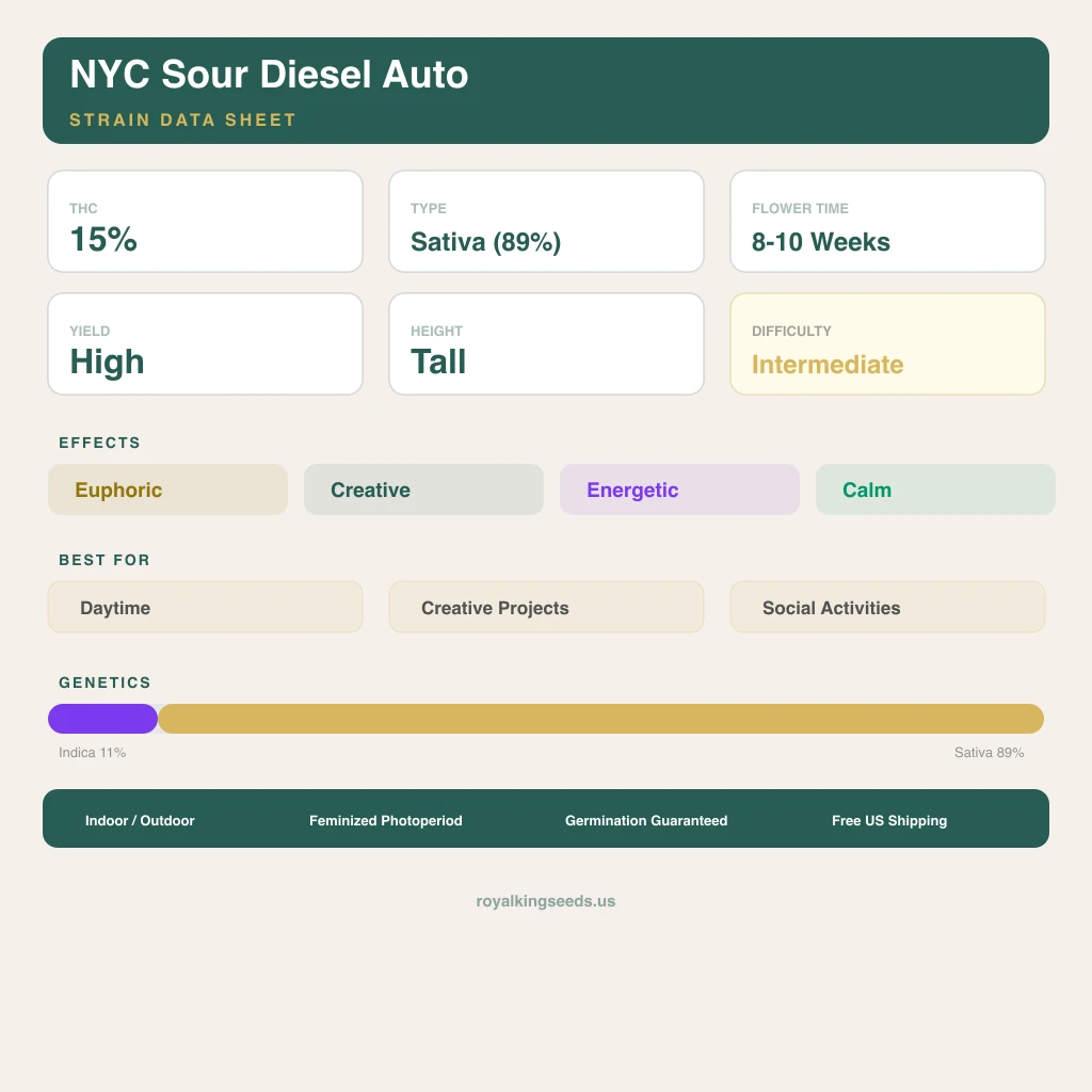 NYC Sour Diesel 11% indica / 89% sativa — flor con tricomas visibles