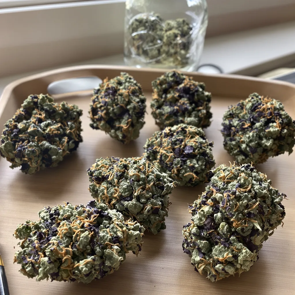 Pakistani Chitral Kush 86% indica / 14% sativa — flor con tricomas visibles
