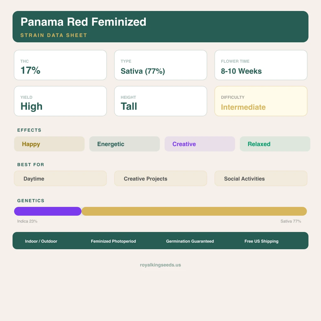 Panama Red 23% indica / 77% sativa — flor con tricomas visibles