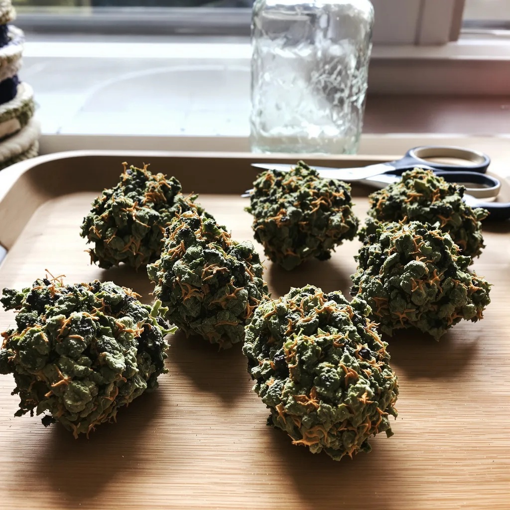 Paris XXX 85% indica / 15% sativa — flor con tricomas visibles