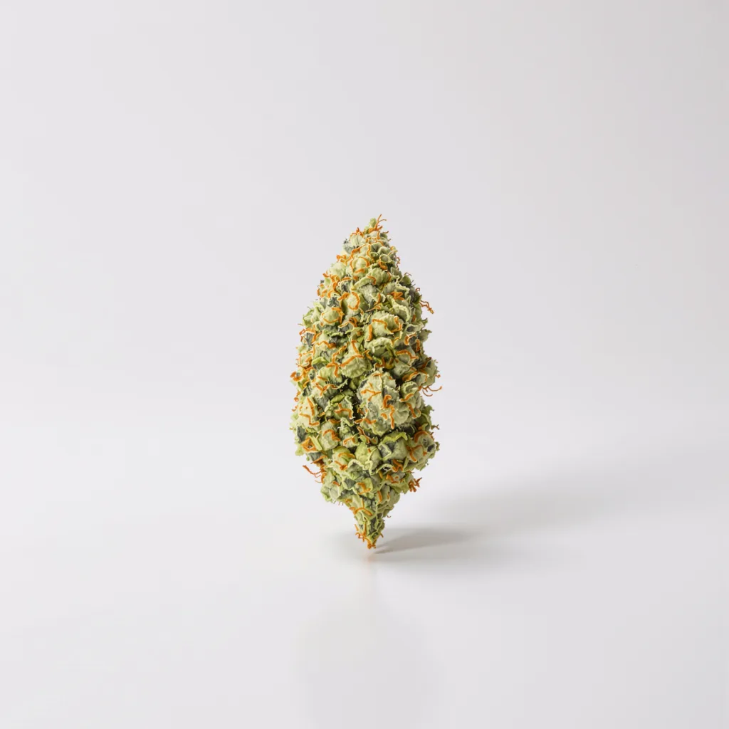 Pennywise CBD 58% indica / 42% sativa — flor con tricomas visibles