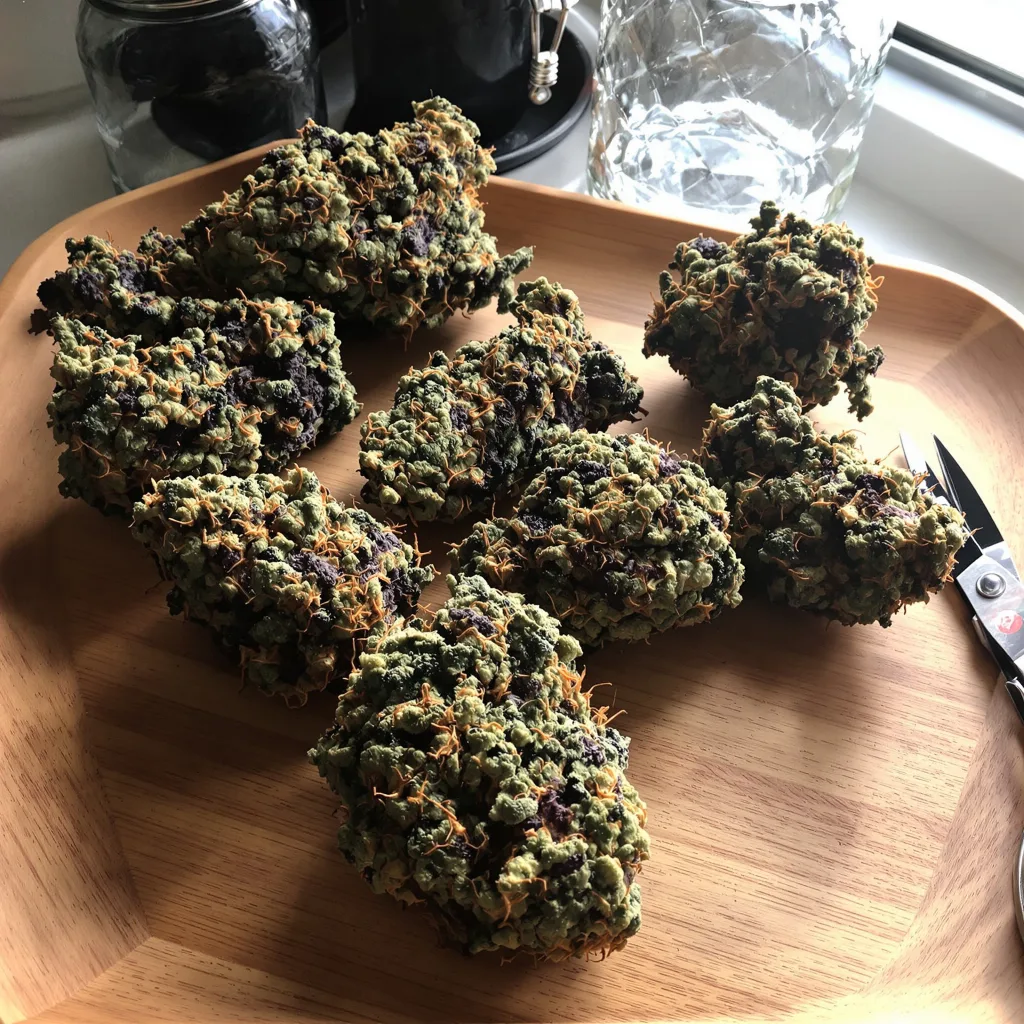 Pennywise 80% indica / 20% sativa — flor con tricomas visibles