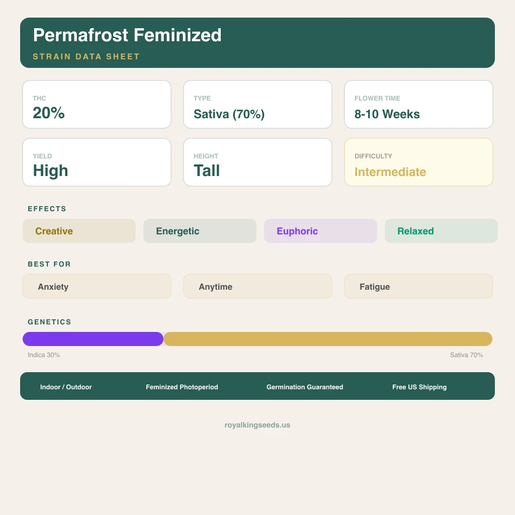 Permafrost 30% indica / 70% sativa — flor con tricomas visibles