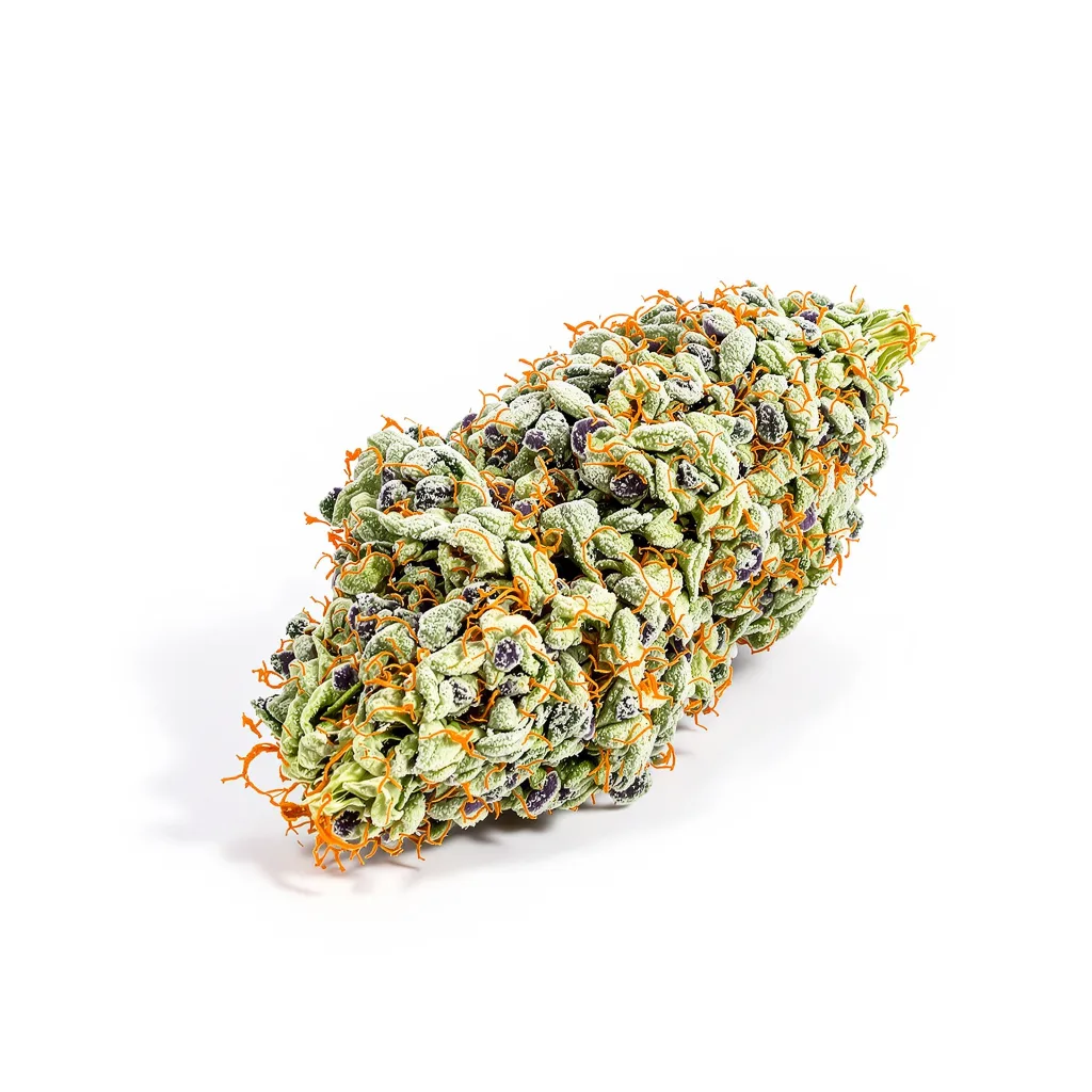 Pie Scream 53% indica / 47% sativa — flor con tricomas visibles