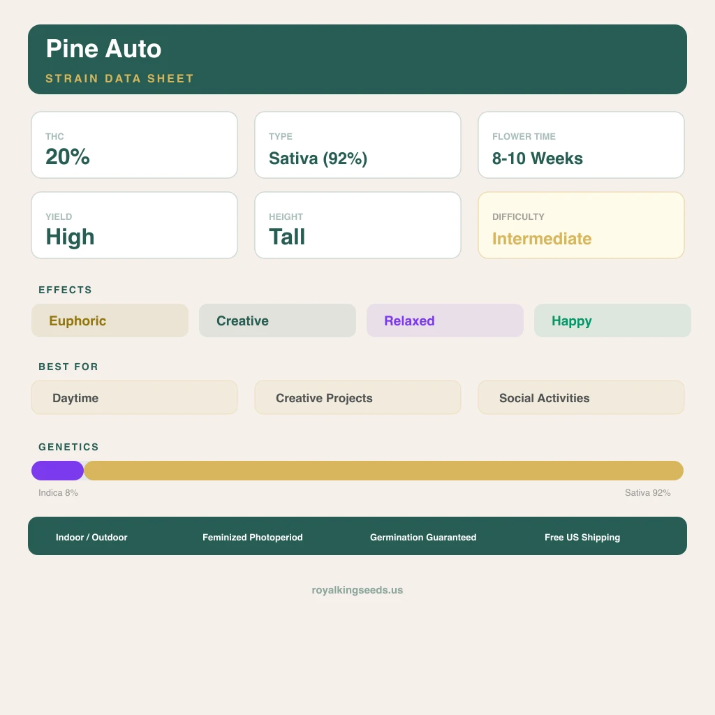 Pine 8% indica / 92% sativa — flor con tricomas visibles