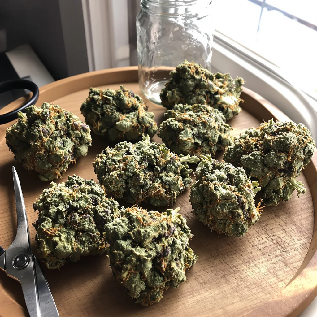 Pineapple Diesel 50% indica / 50% sativa — flor con tricomas visibles