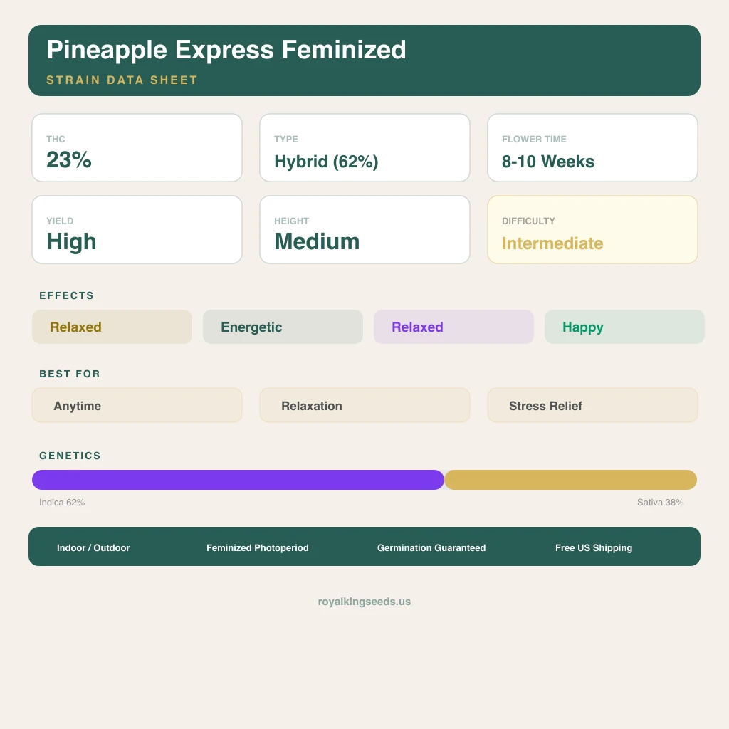 Pineapple Express 62% indica / 38% sativa — flor con tricomas visibles