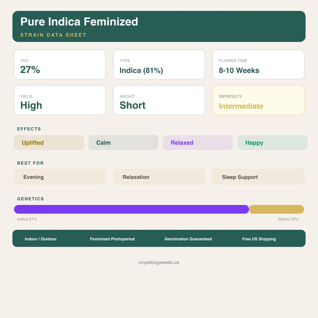 Pure Indica 81% indica / 19% sativa — flor con tricomas visibles