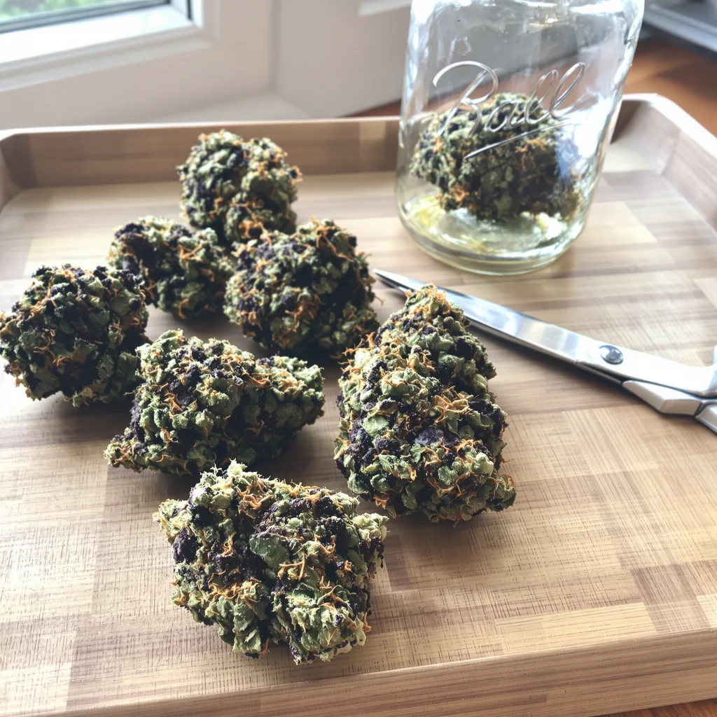 Pure Kush 70% indica / 30% sativa — flor con tricomas visibles