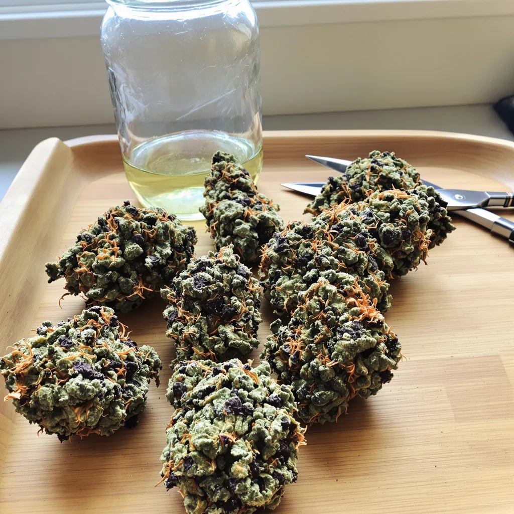 Pure OG 86% indica / 14% sativa — flor con tricomas visibles