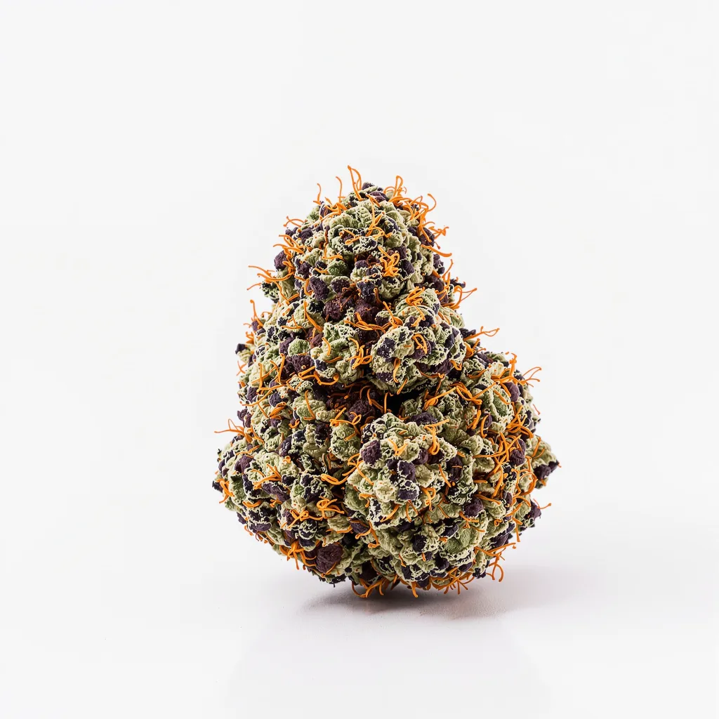 Purple Afghani 84% indica / 16% sativa — flor con tricomas visibles