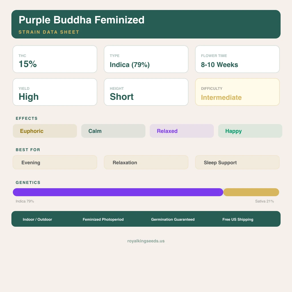 Purple Buddha 79% indica / 21% sativa — flor con tricomas visibles