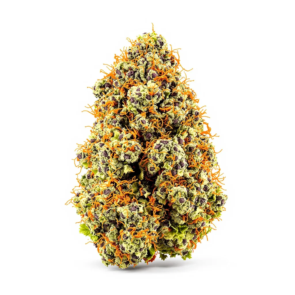 Purple Chemdawg 71% indica / 29% sativa — flor con tricomas visibles