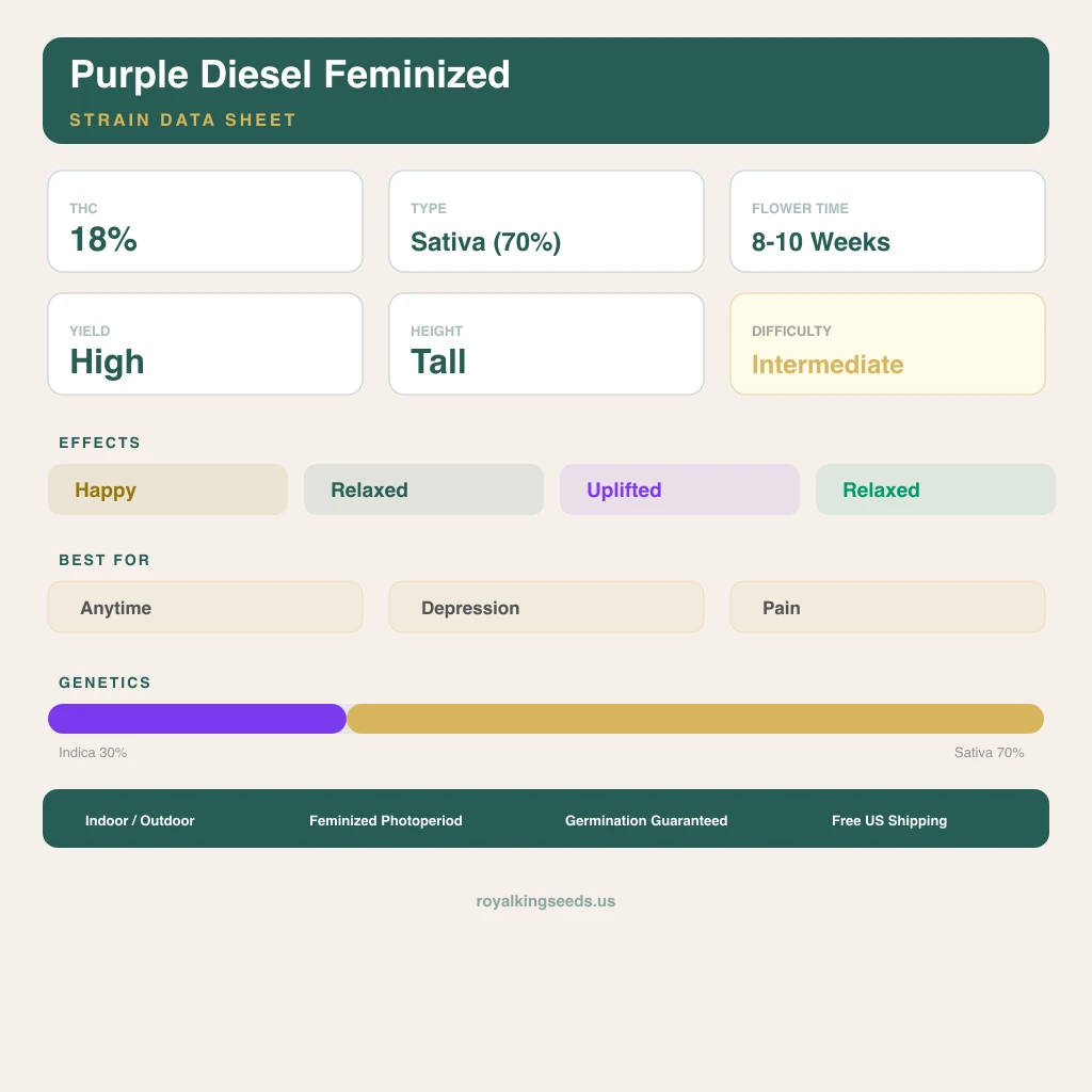 Purple Diesel 30% indica / 70% sativa — flor con tricomas visibles