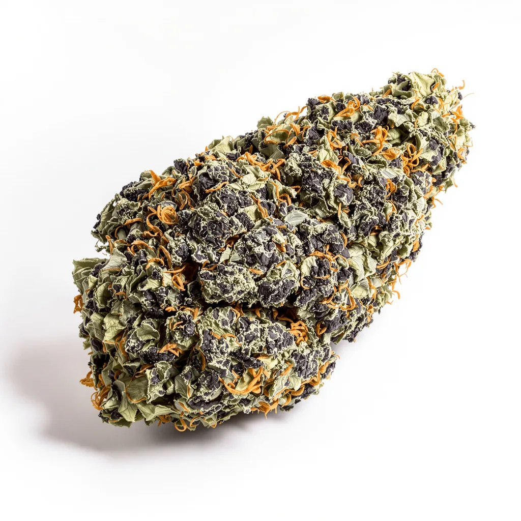 Purple Dragon 66% indica / 34% sativa — flor con tricomas visibles