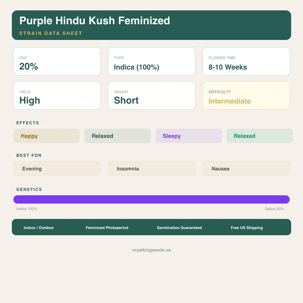 Purple Hindu Kush 100% indica / 50% sativa — flor con tricomas visibles