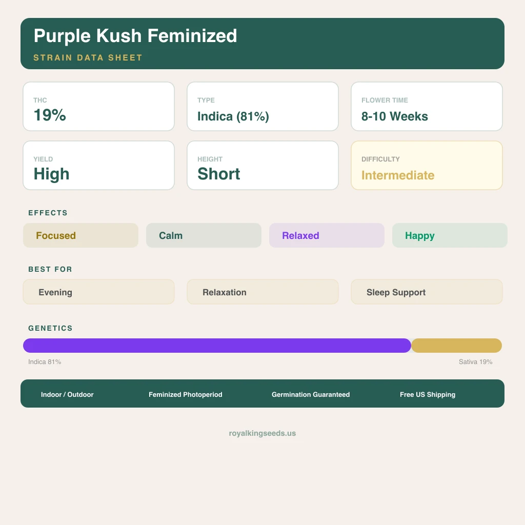Purple Kush 81% indica / 19% sativa — flor con tricomas visibles