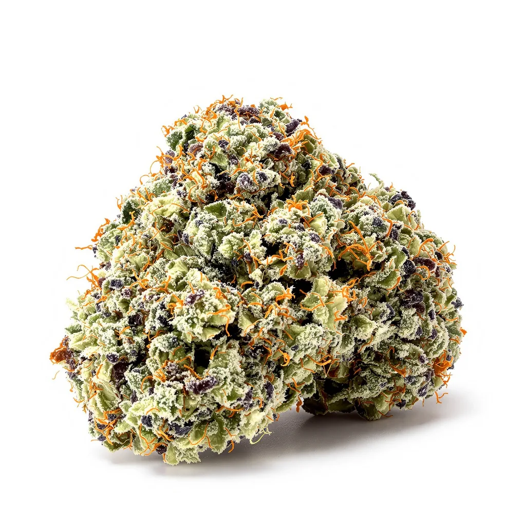 Purple Pantera 63% indica / 37% sativa — flor con tricomas visibles