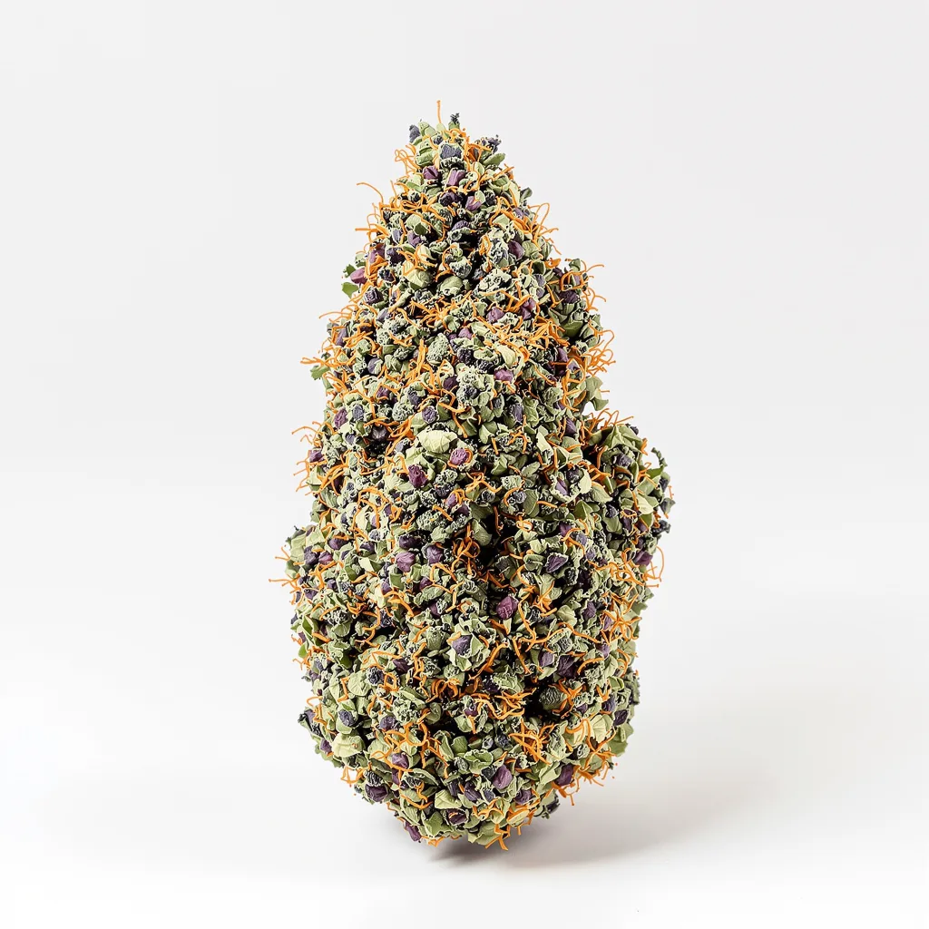 Purple Star 68% indica / 32% sativa — flor con tricomas visibles