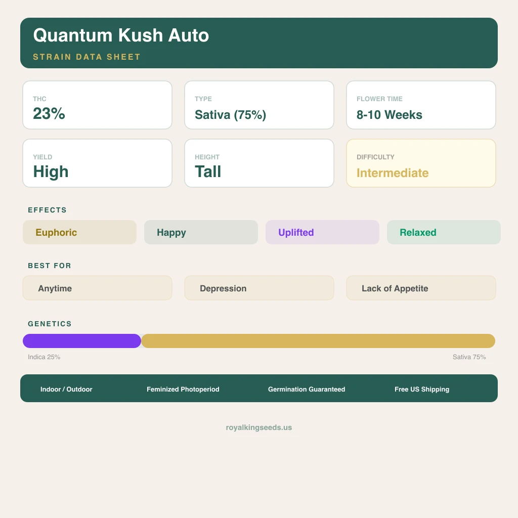Quantum Kush 25% indica / 75% sativa — flor con tricomas visibles