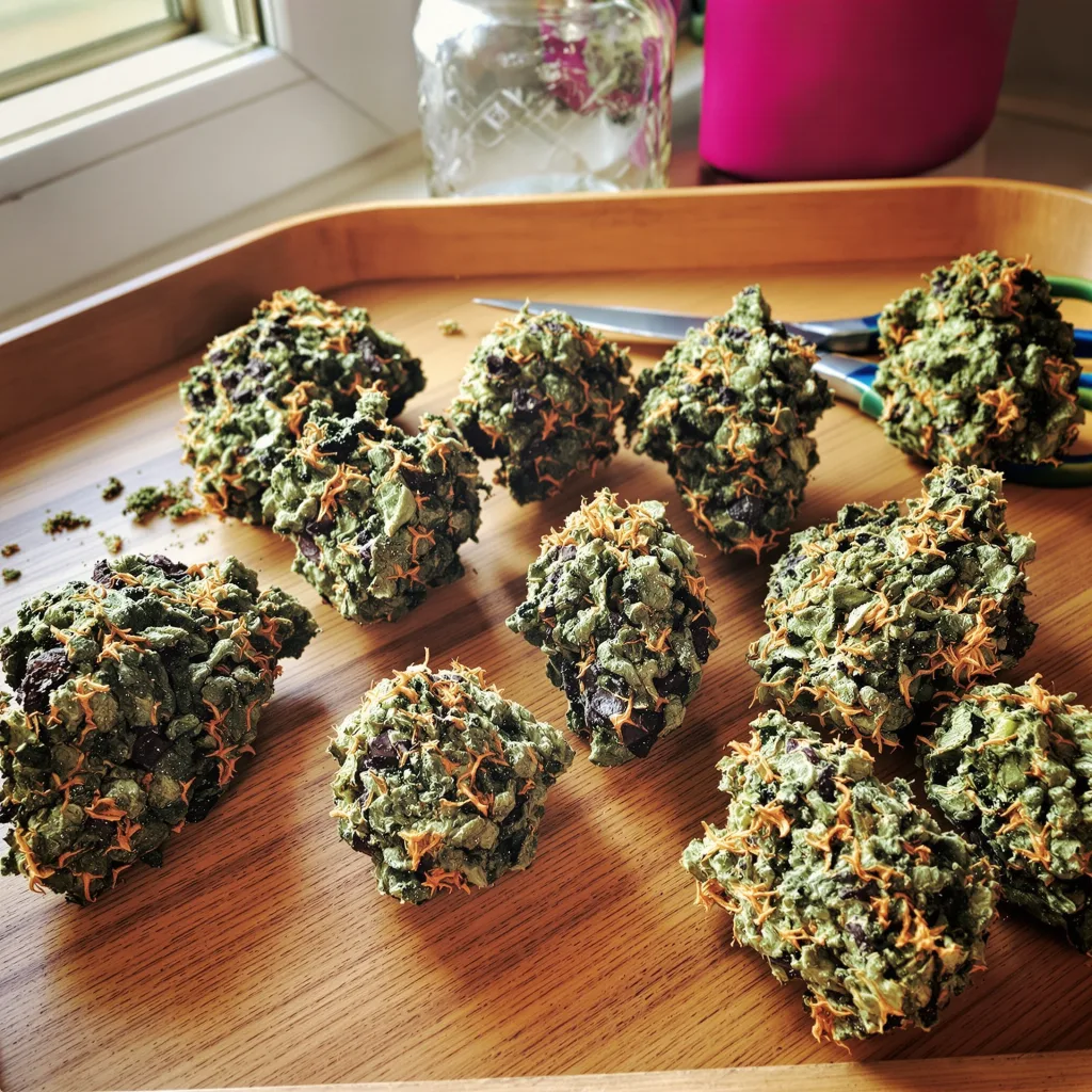Queso 67% indica / 33% sativa — flor con tricomas visibles