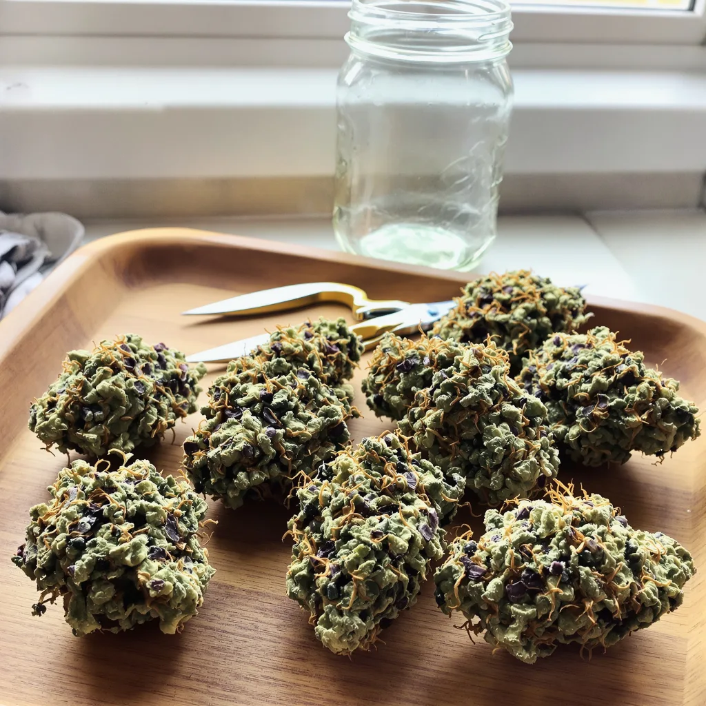 Qush 87% indica / 13% sativa — flor con tricomas visibles