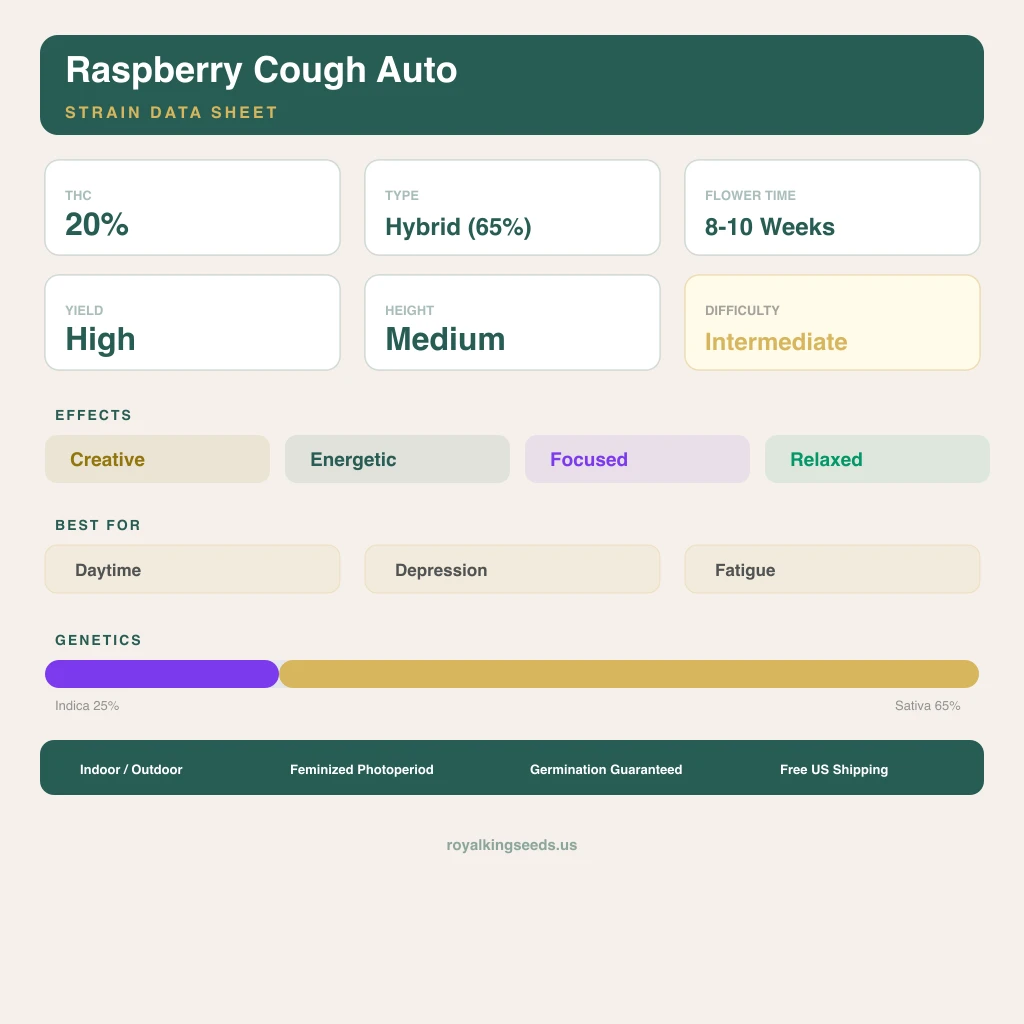 Raspberry Cough 25% indica / 65% sativa — flor con tricomas visibles