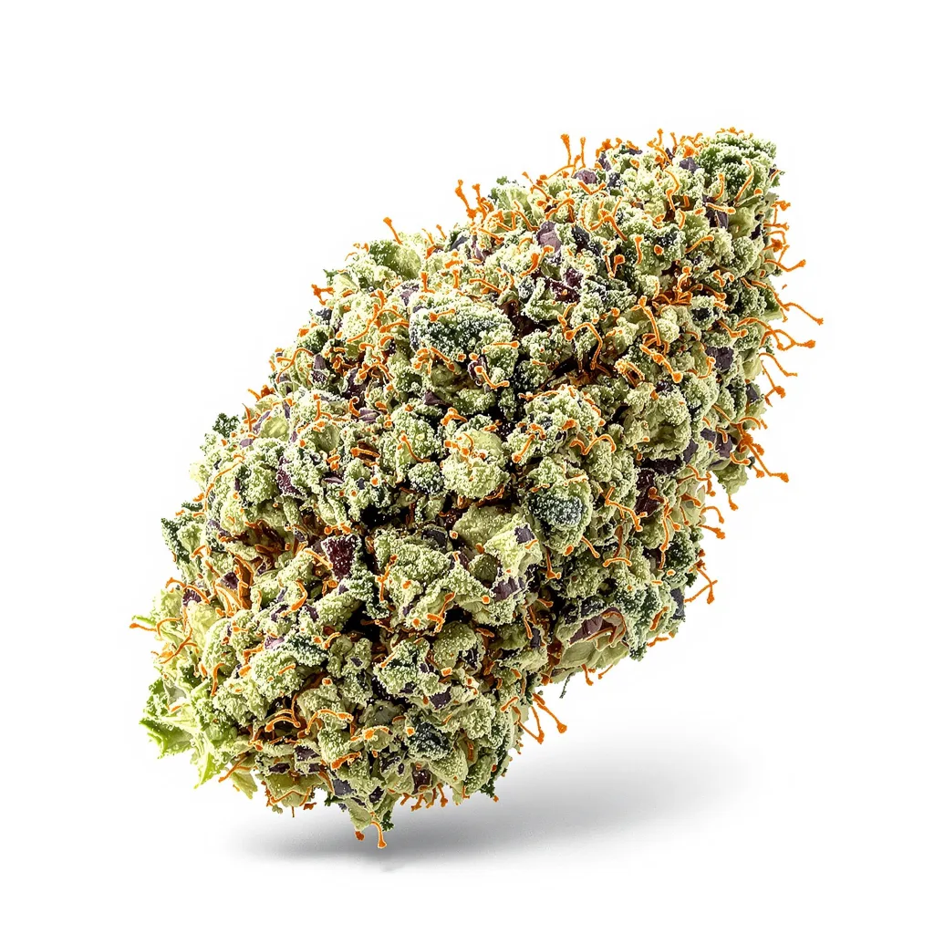 Reign Man 51% indica / 49% sativa — flor con tricomas visibles