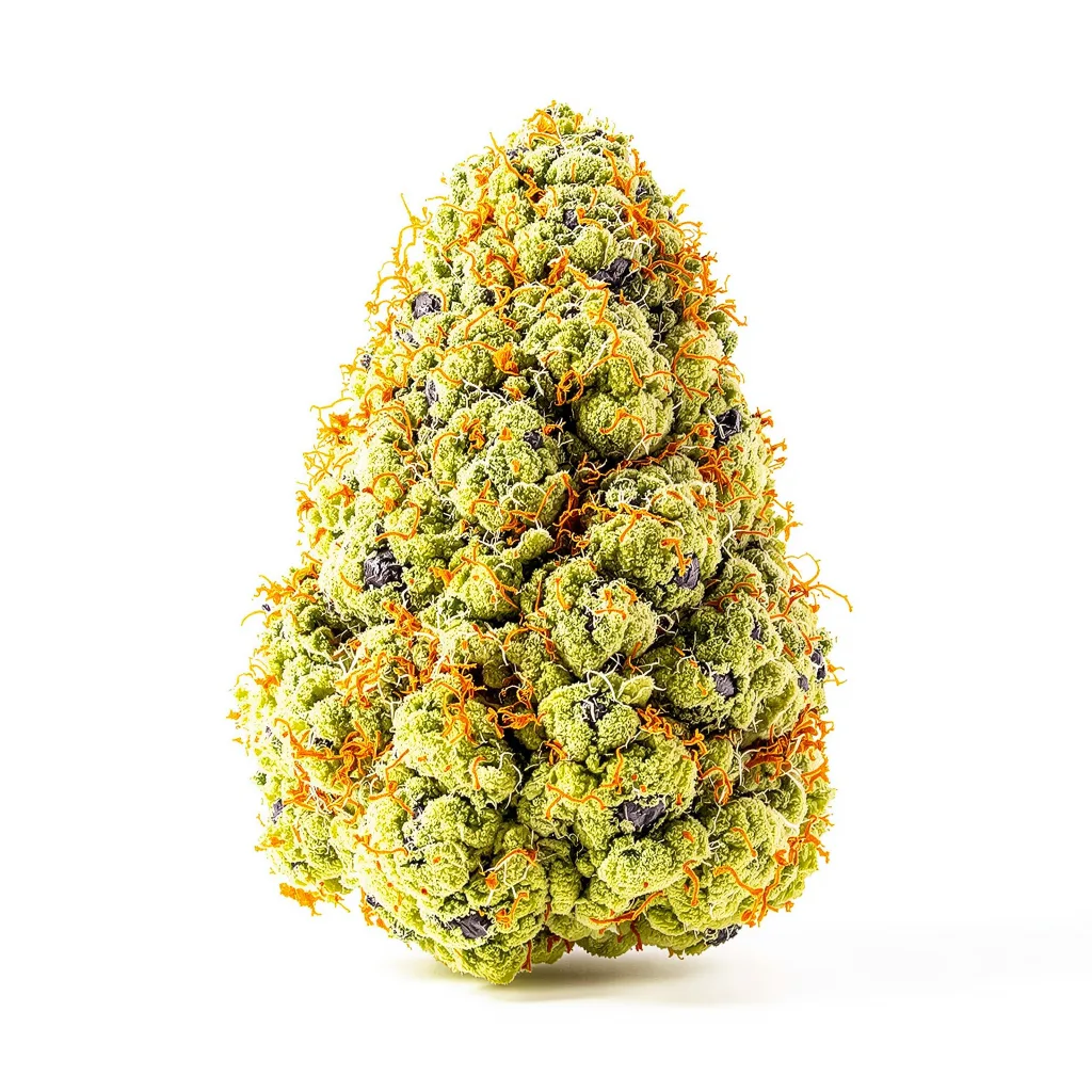 Ringos Gift CBD 50% indica / 50% sativa — flor con tricomas visibles