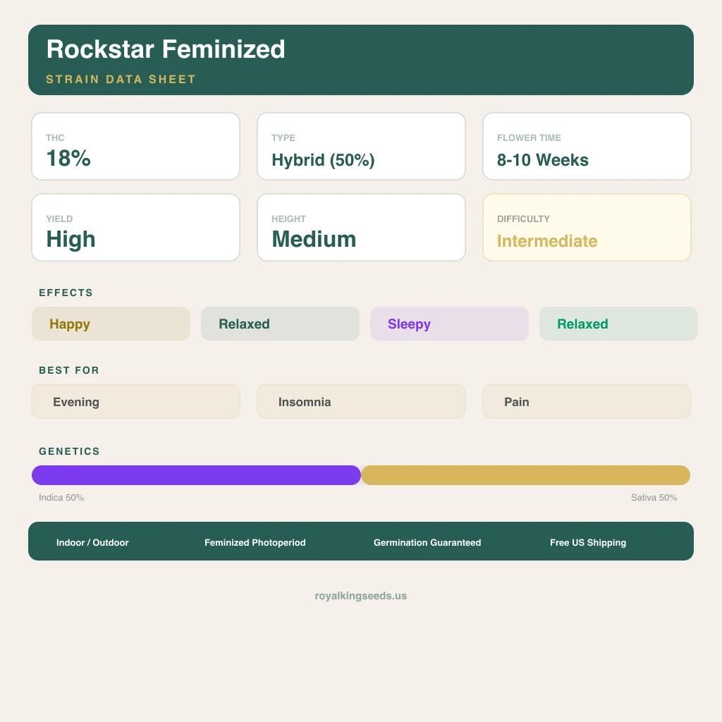 Rockstar 50% indica / 50% sativa — flor con tricomas visibles