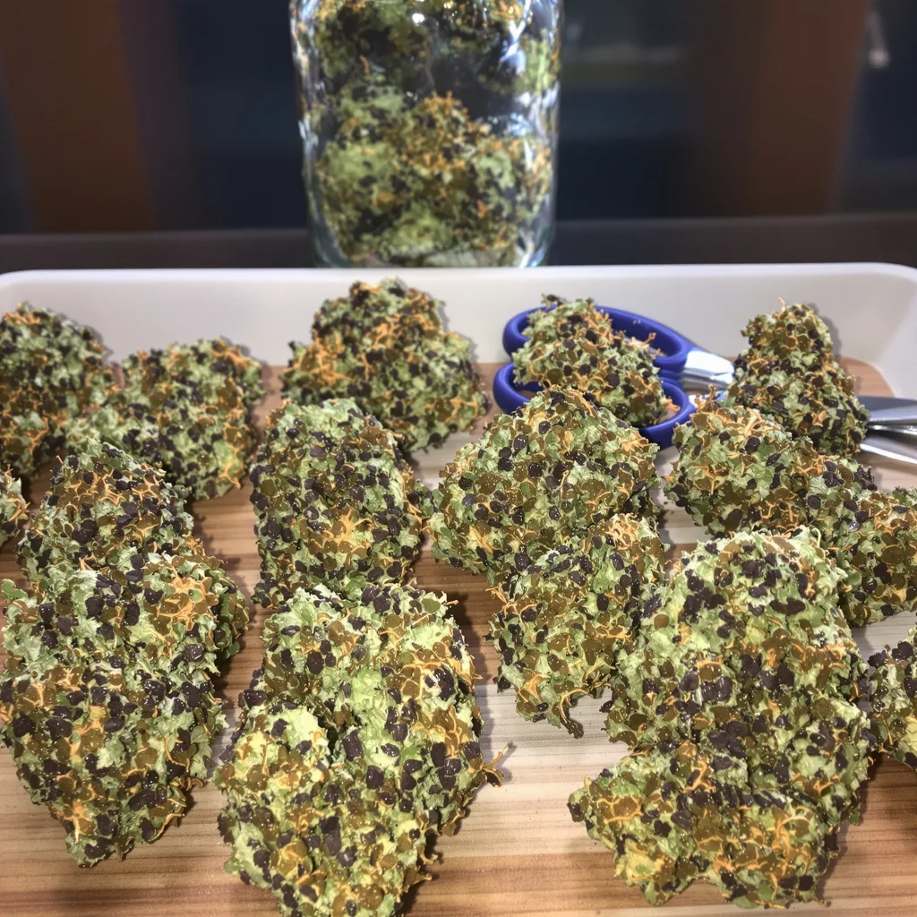 Romulan Haze 68% indica / 32% sativa — flor con tricomas visibles