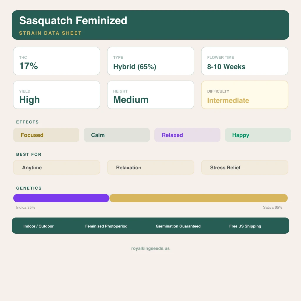 Sasquatch 35% indica / 65% sativa — flor con tricomas visibles