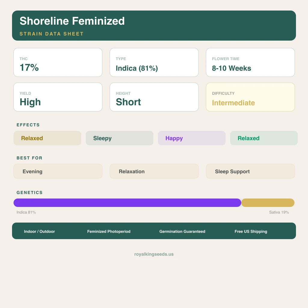 Shoreline 81% indica / 19% sativa — flor con tricomas visibles