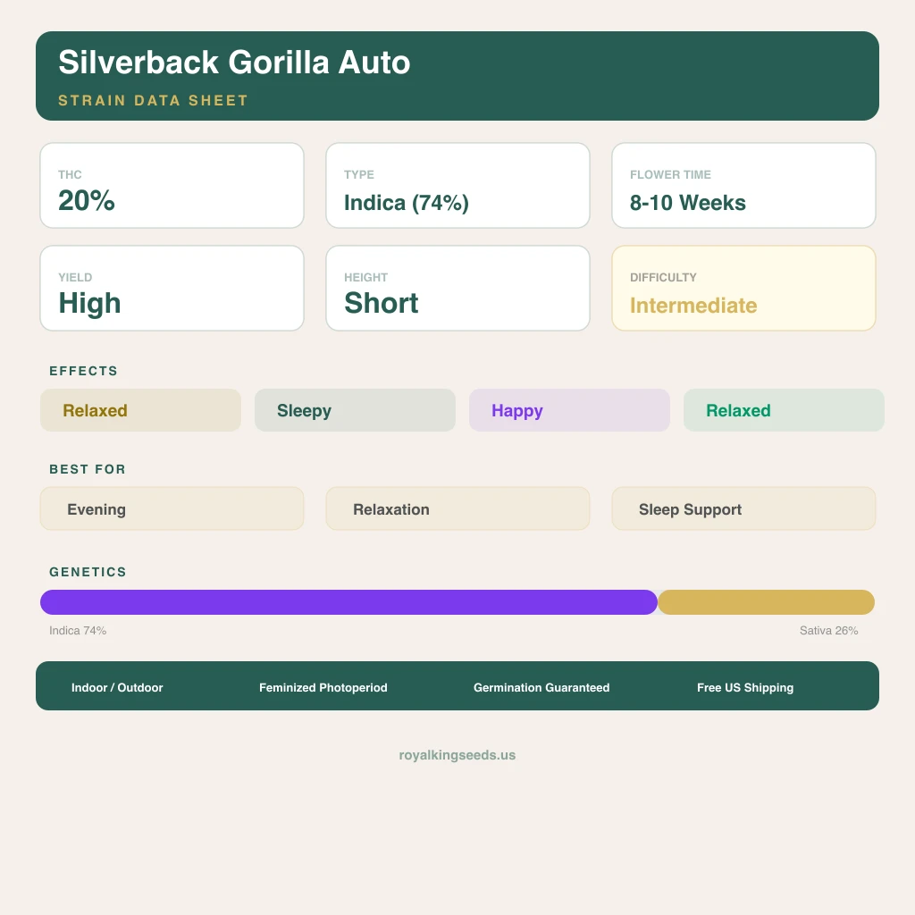 Silverback Gorilla 74% indica / 26% sativa — flor con tricomas visibles