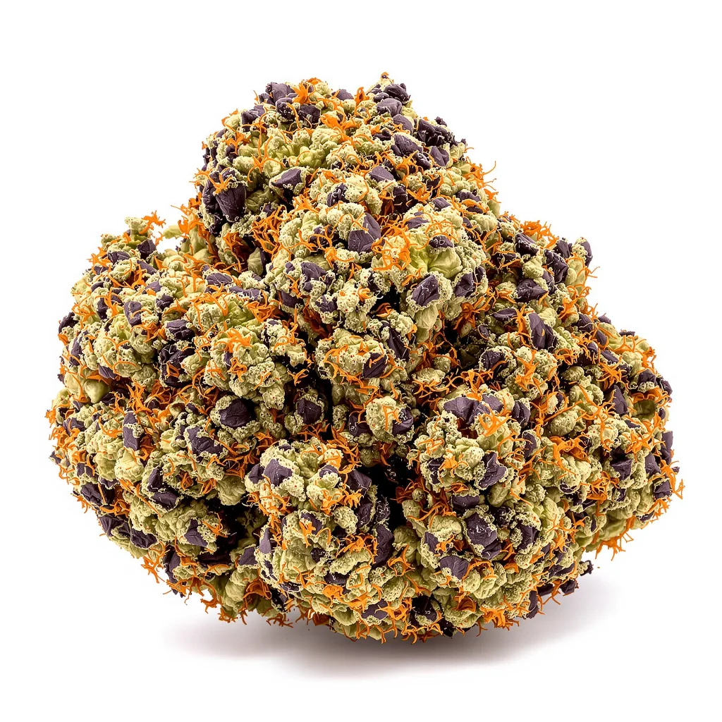 Silverback Gorilla 74% indica / 26% sativa — flor con tricomas visibles