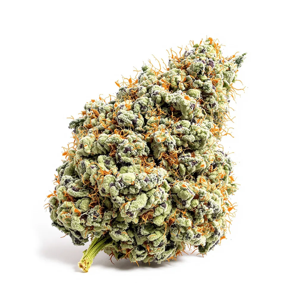 Snow Leopard 44% indica / 56% sativa — flor con tricomas visibles