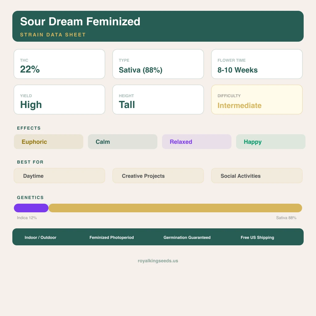 Sour Dream 12% indica / 88% sativa — flor con tricomas visibles