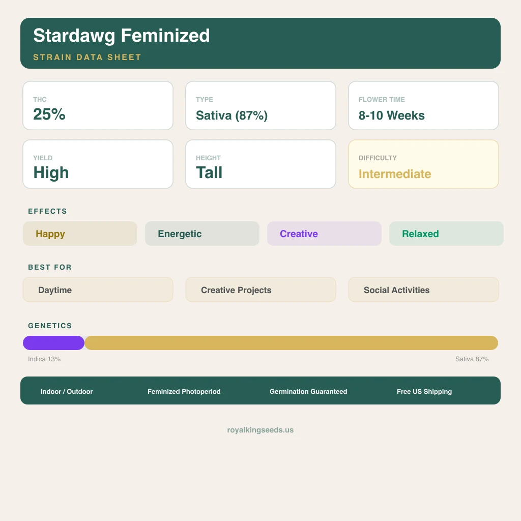 Stardawg 13% indica / 87% sativa — flor con tricomas visibles