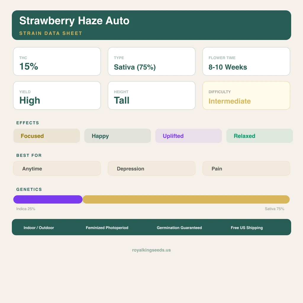 Strawberry Haze 25% indica / 75% sativa — flor con tricomas visibles