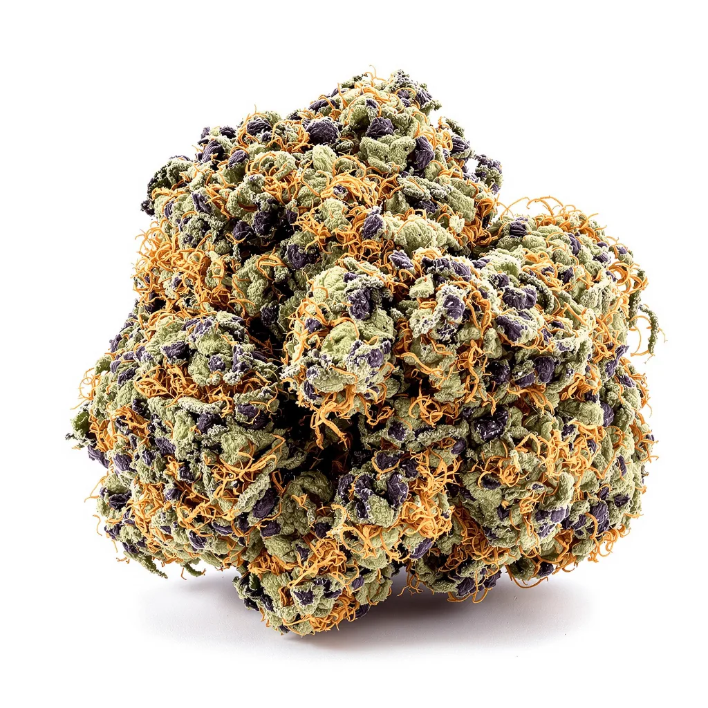 Sugar Black Rose 88% indica / 12% sativa — flor con tricomas visibles
