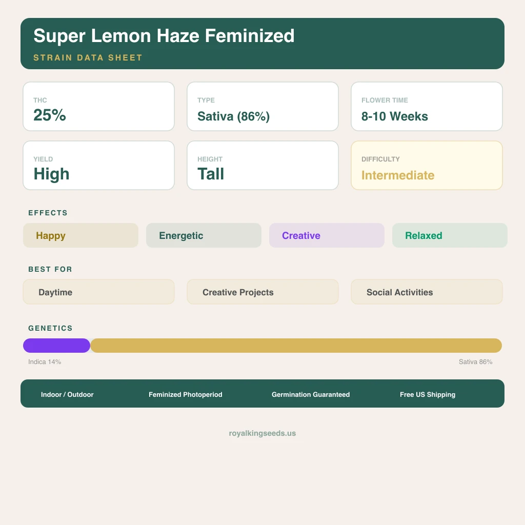Super Lemon Haze 14% indica / 86% sativa — flor con tricomas visibles