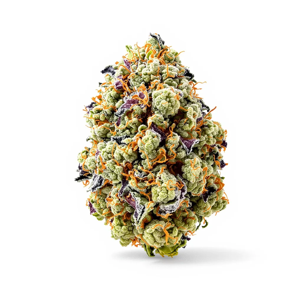 Super Snow Dog 54% indica / 46% sativa — flor con tricomas visibles
