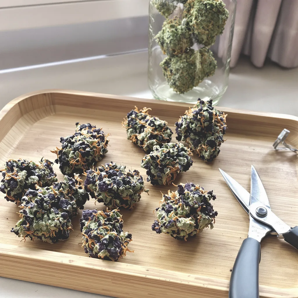 Supergirl 88% indica / 12% sativa — flor con tricomas visibles
