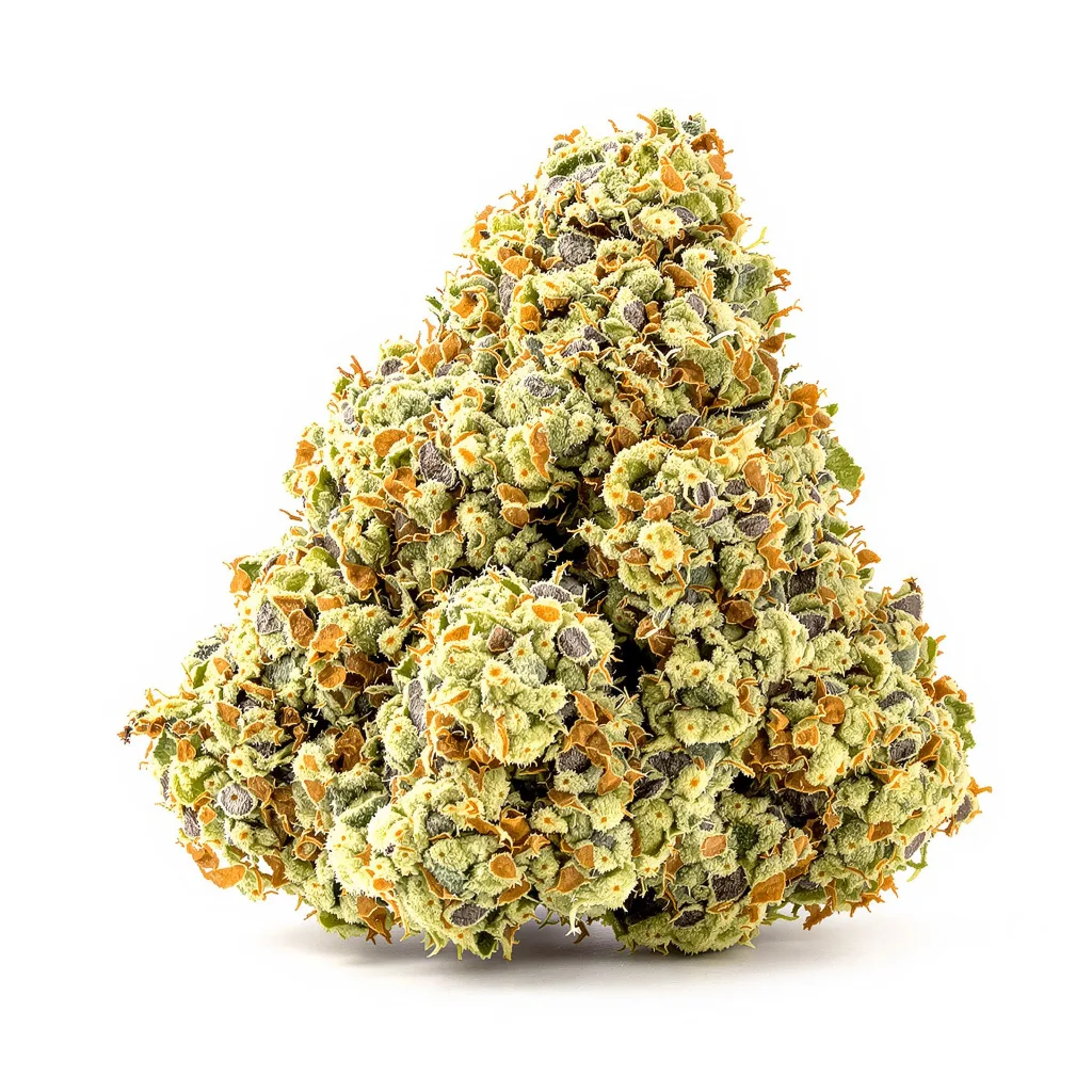 Suzy Q CBD 50% indica / 50% sativa — flor con tricomas visibles