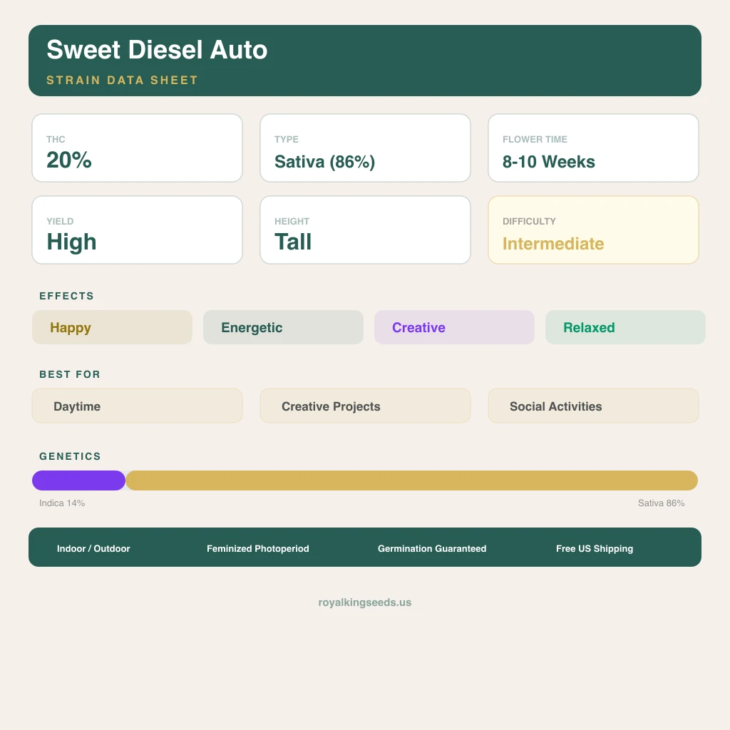 Sweet Diesel 14% indica / 86% sativa — flor con tricomas visibles