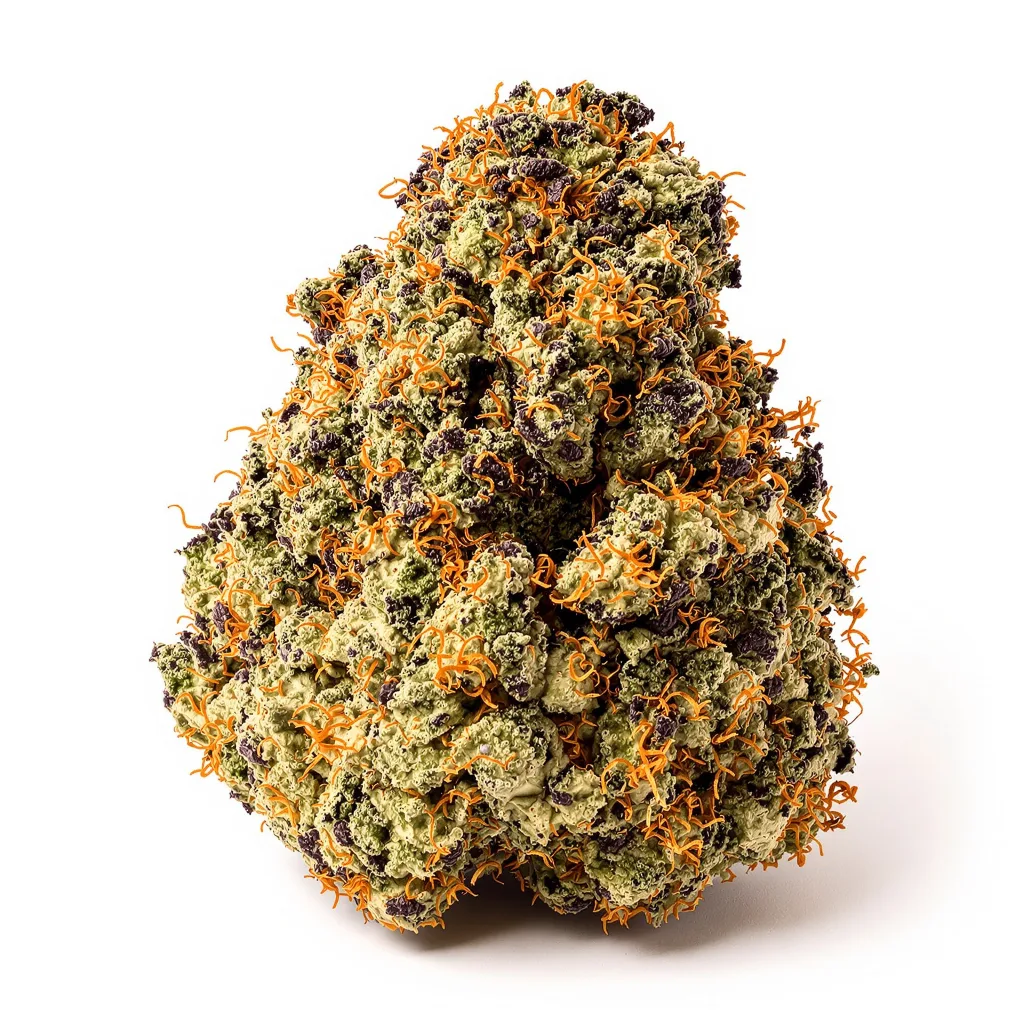 Swiss 72% indica / 28% sativa — flor con tricomas visibles