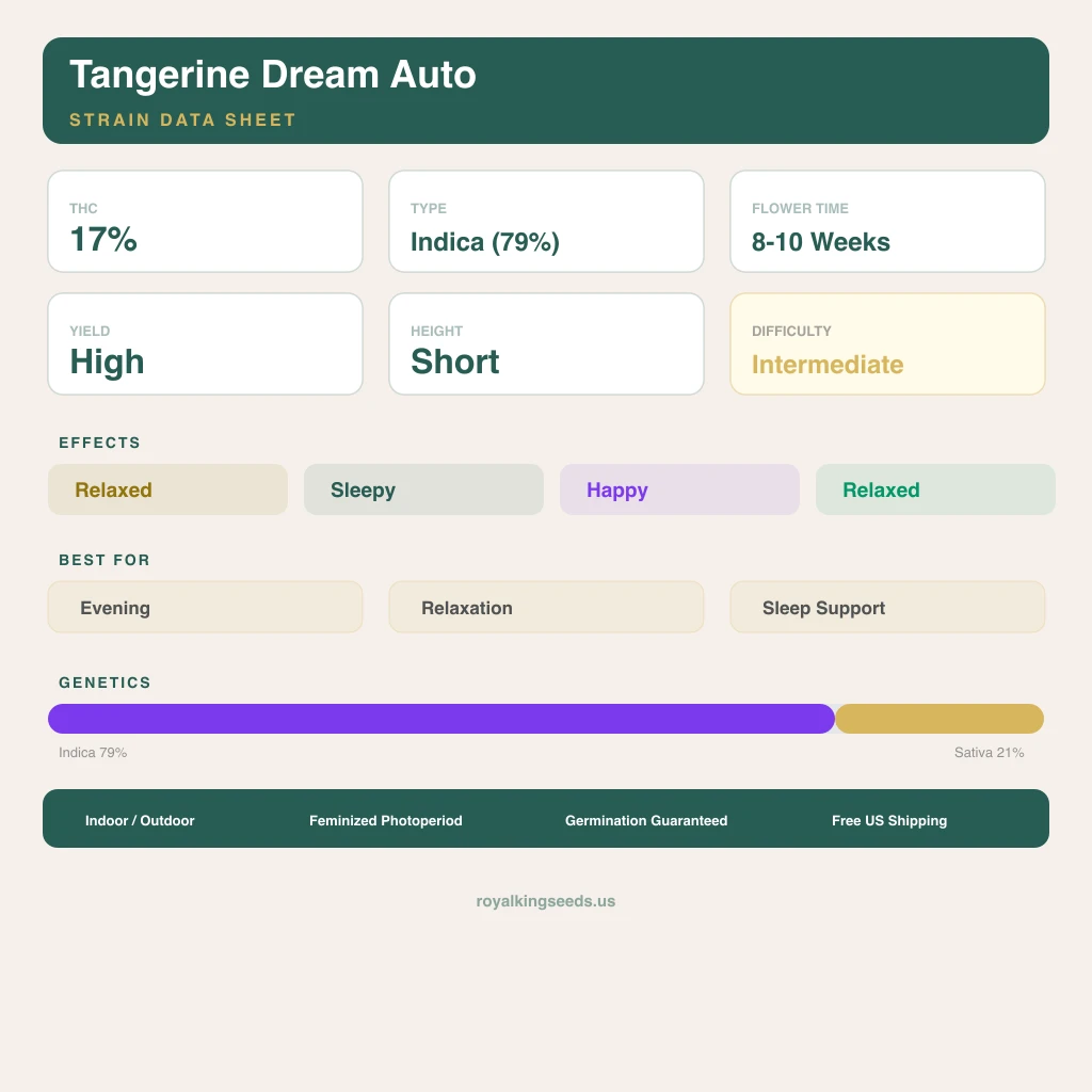 Tangerine Dream 79% indica / 21% sativa — flor con tricomas visibles